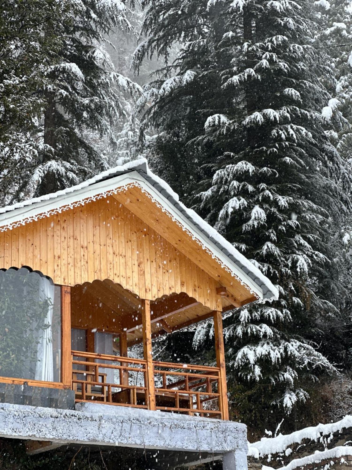 Tree House Latos Tandi Hotell Jibhi Exteriör bild